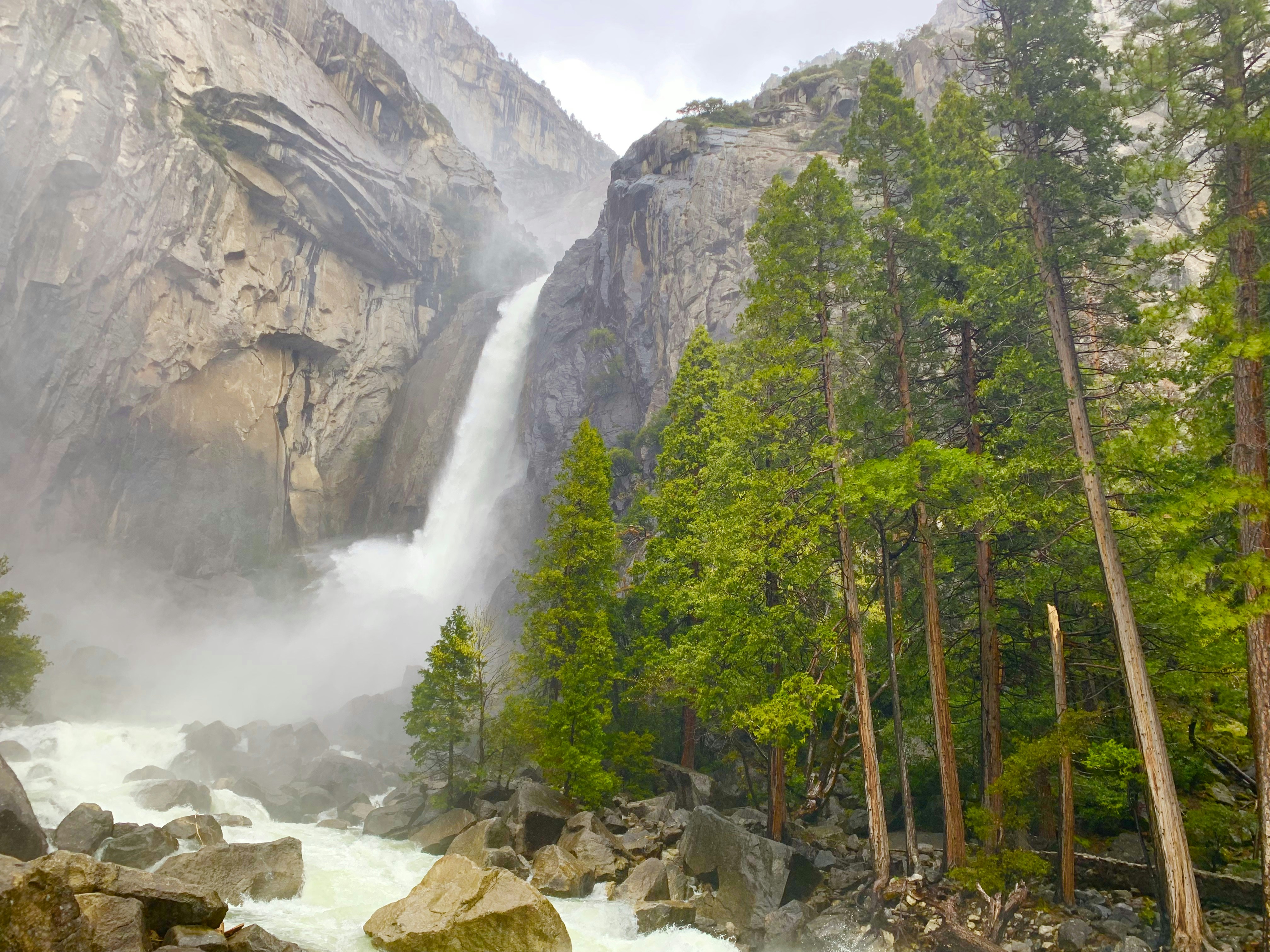 Photo by wanderingpenguin