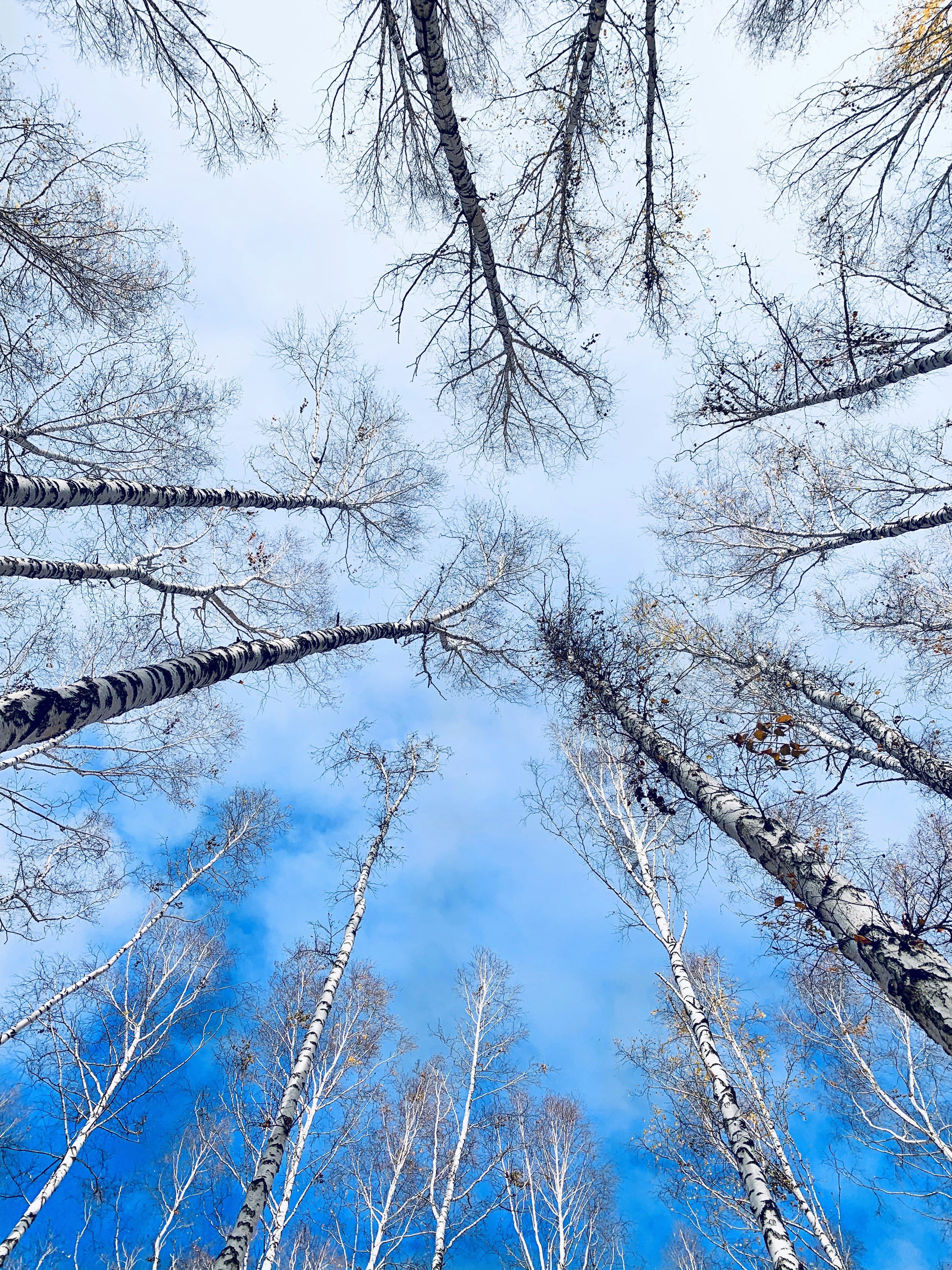 Photo by radmilamiheeva