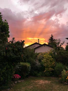 A serene estate nestled among lush greenery at sunset.