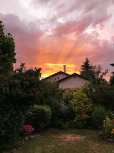A serene backyard garden at sunset with subtle rose and beige tones highlighting the plants.