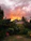 A serene backyard garden with lush greenery and a cozy seating area at sunset.
