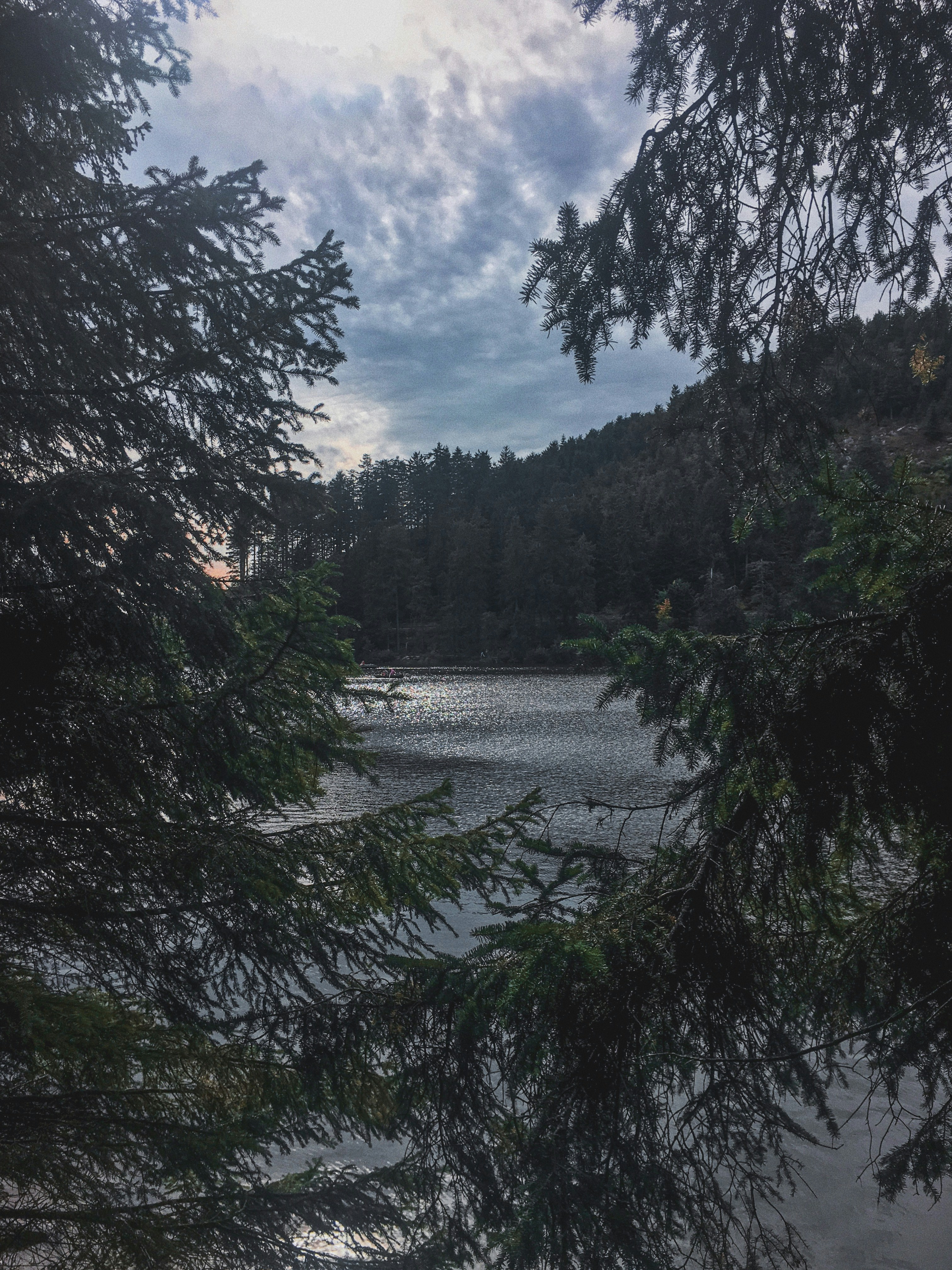 Photo by jessreporter