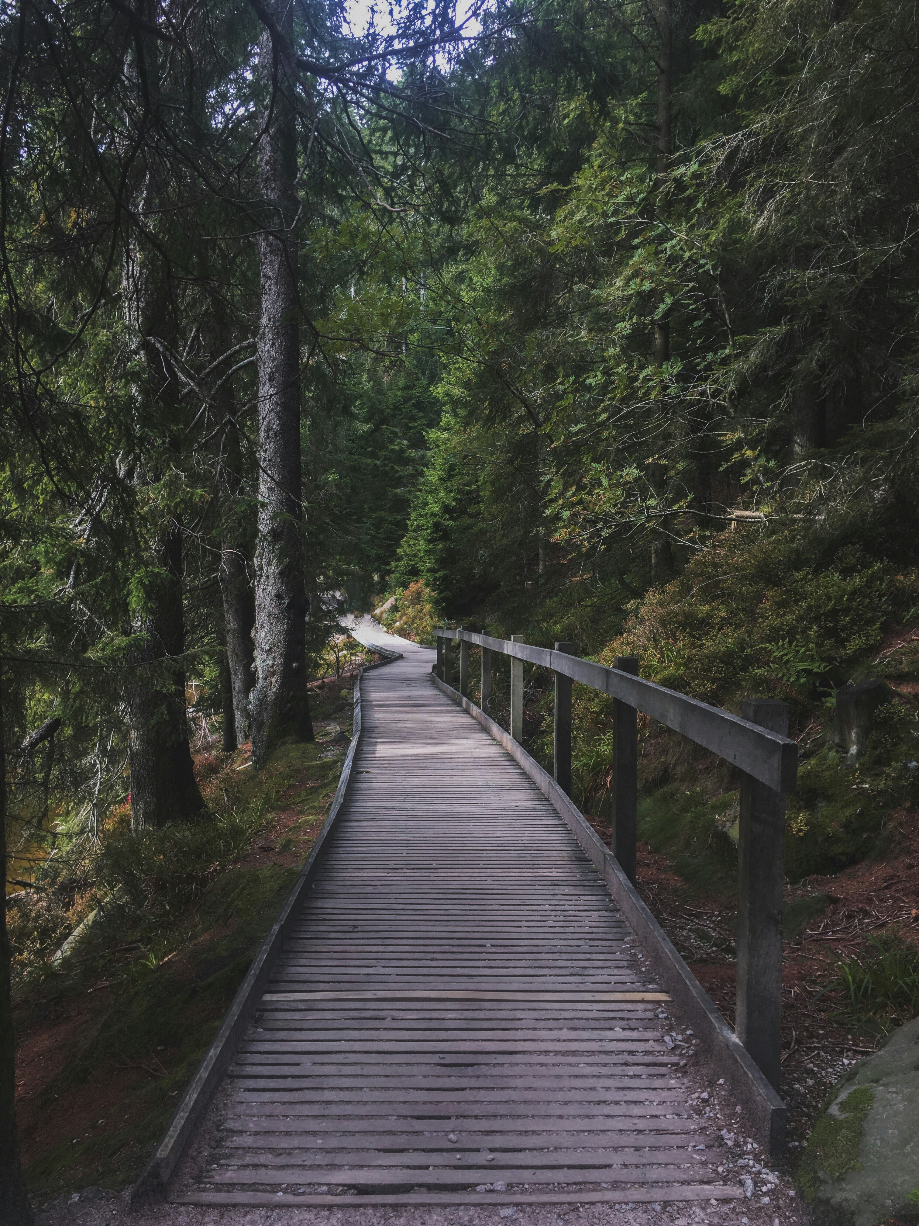 Photo by jessreporter