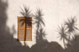 closed window