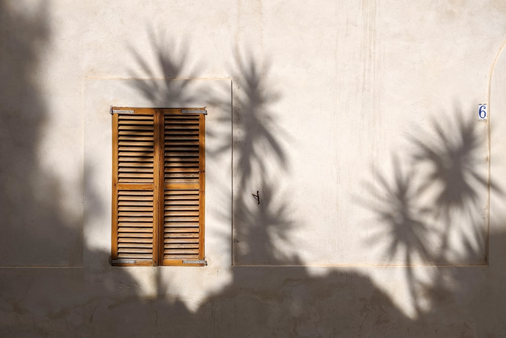 Ventana cerrada