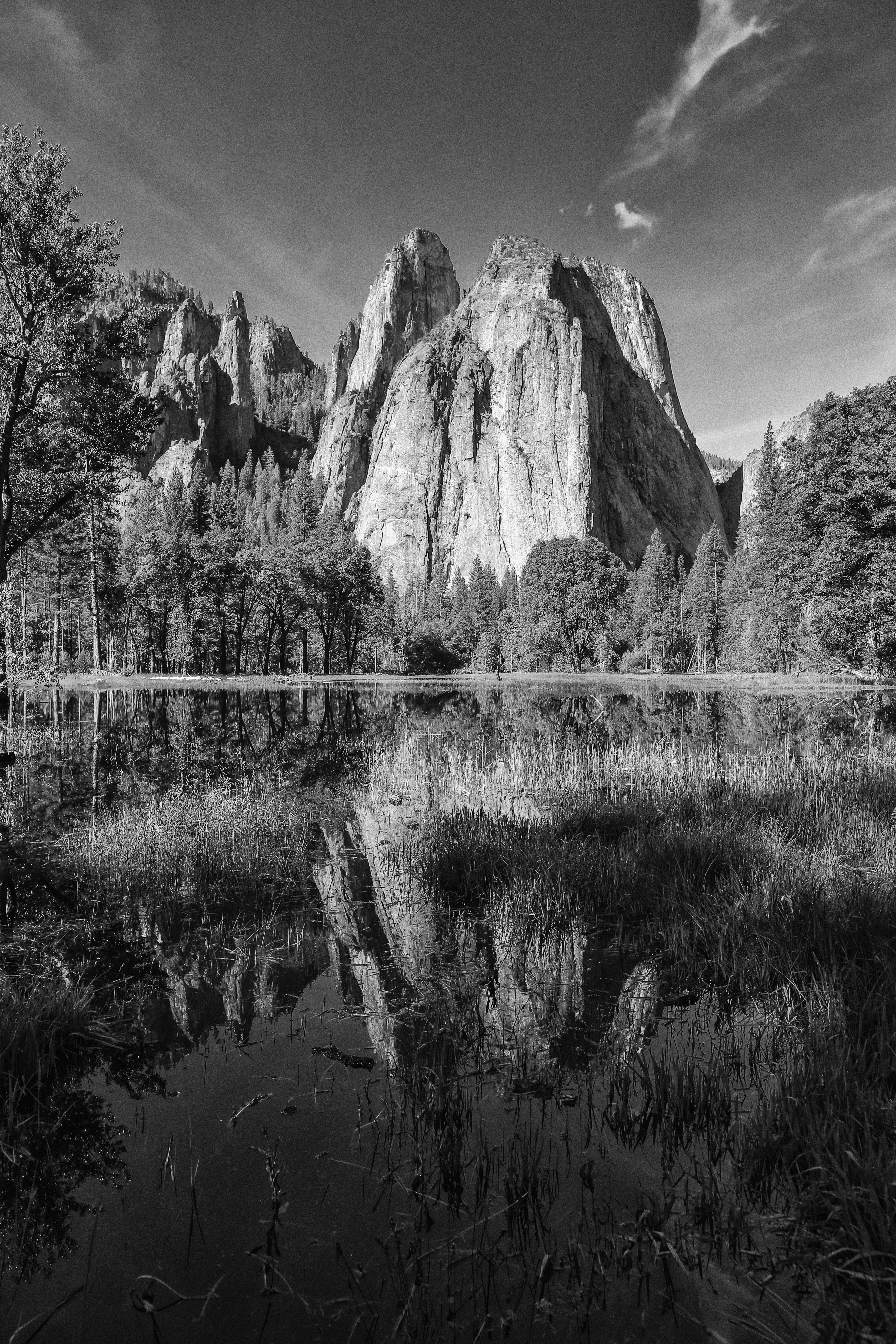 body of water and trees