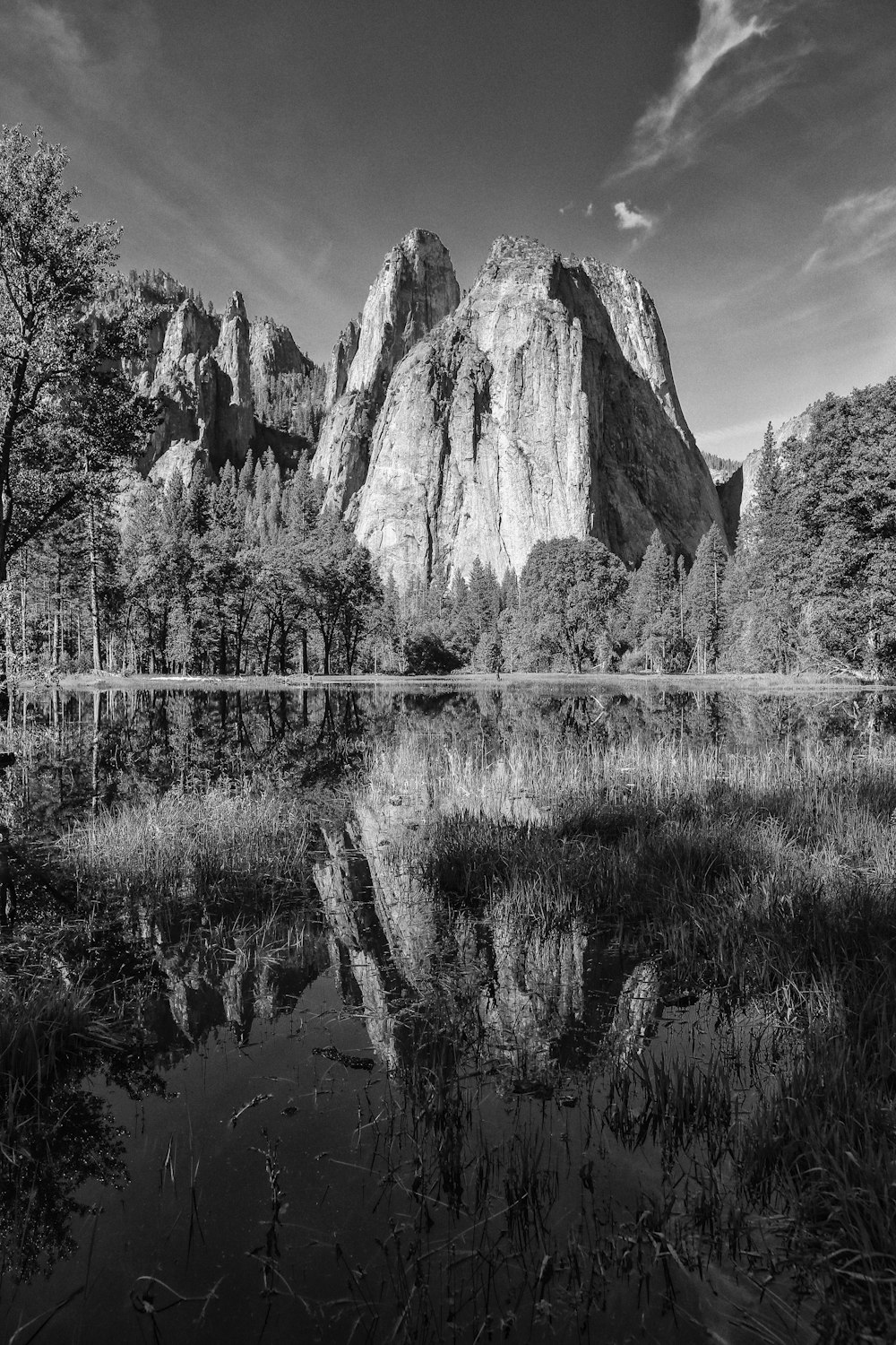 body of water and trees