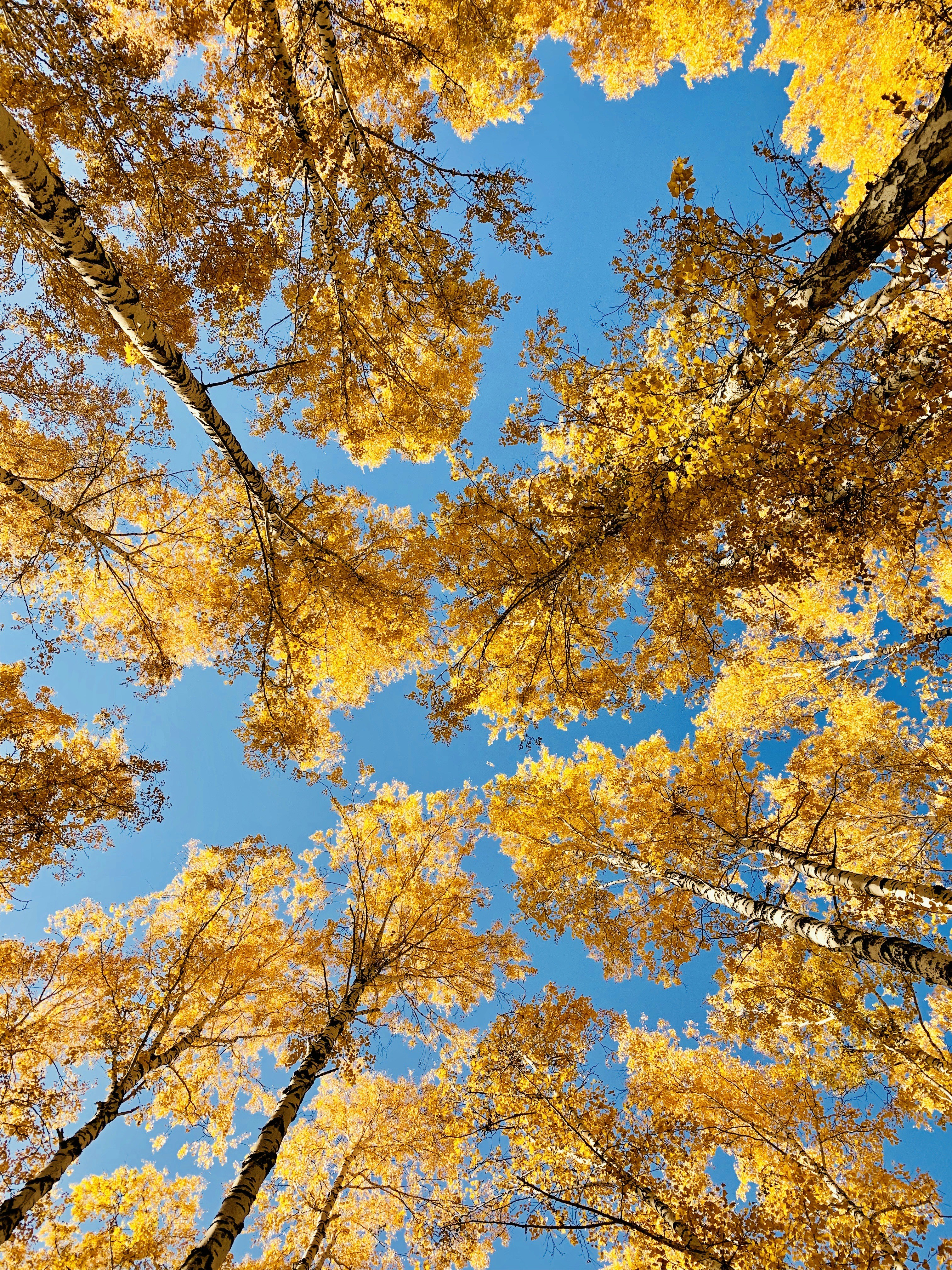 Photo by radmilamiheeva