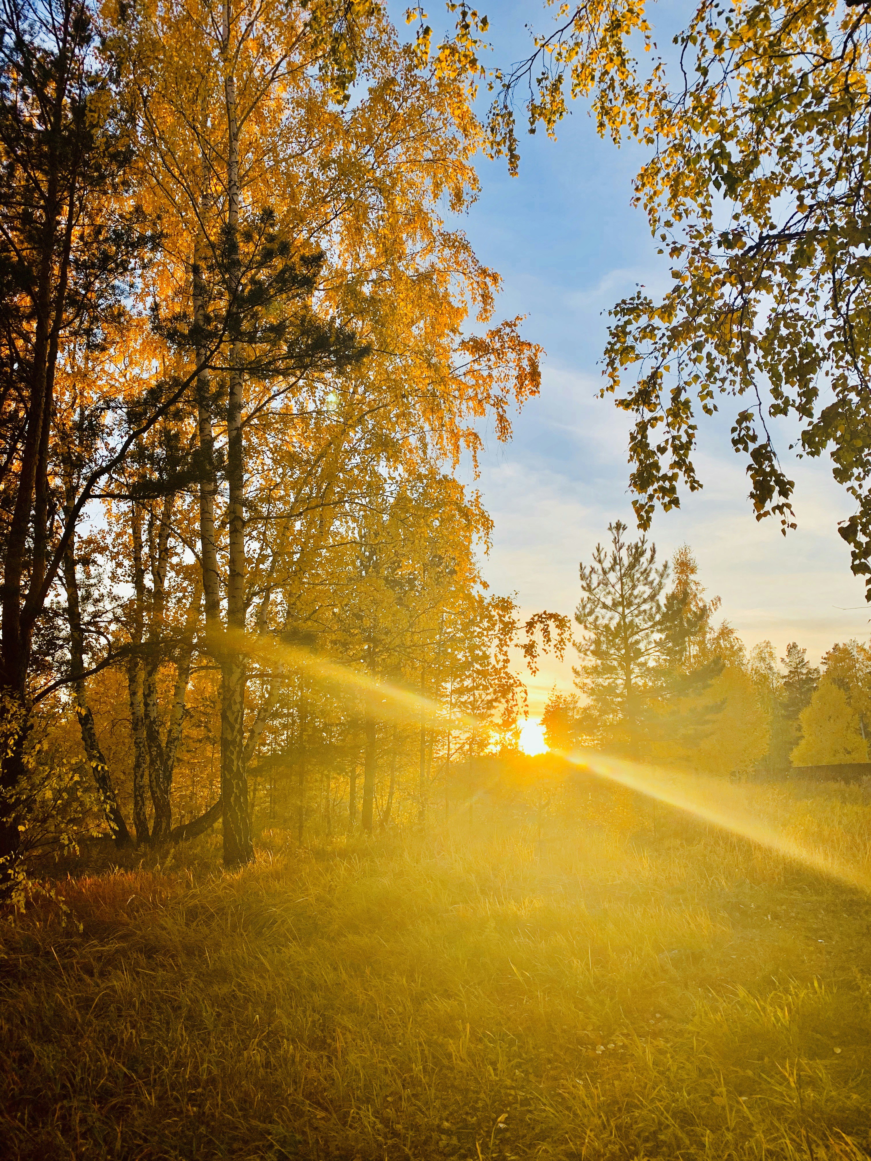 Photo by radmilamiheeva