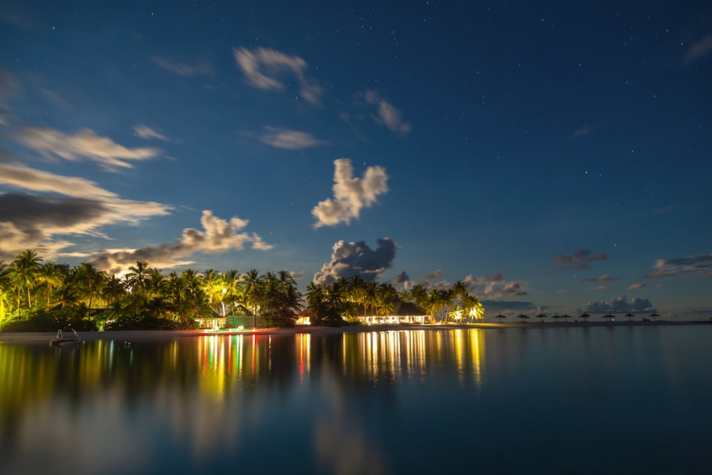 body of water and trees