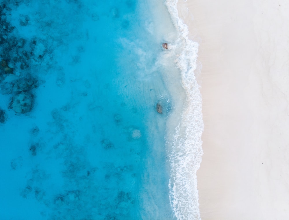 White and blue floral textile photo – Free Blue Image on Unsplash