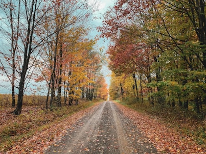 Rural private access road to a seasonal cottage, unmaintained and typically impassable in winter.