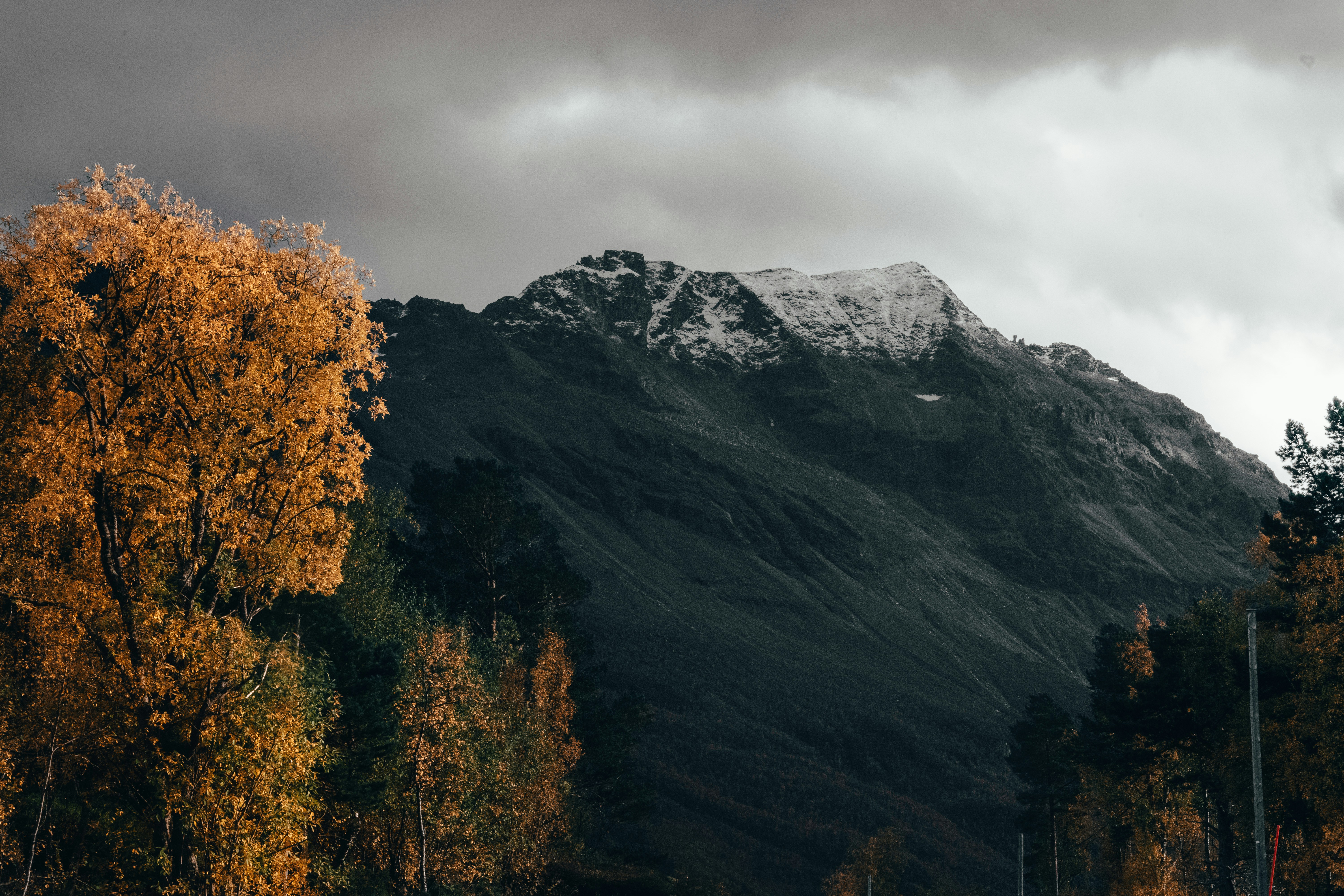 Photo by ansgarscheffold