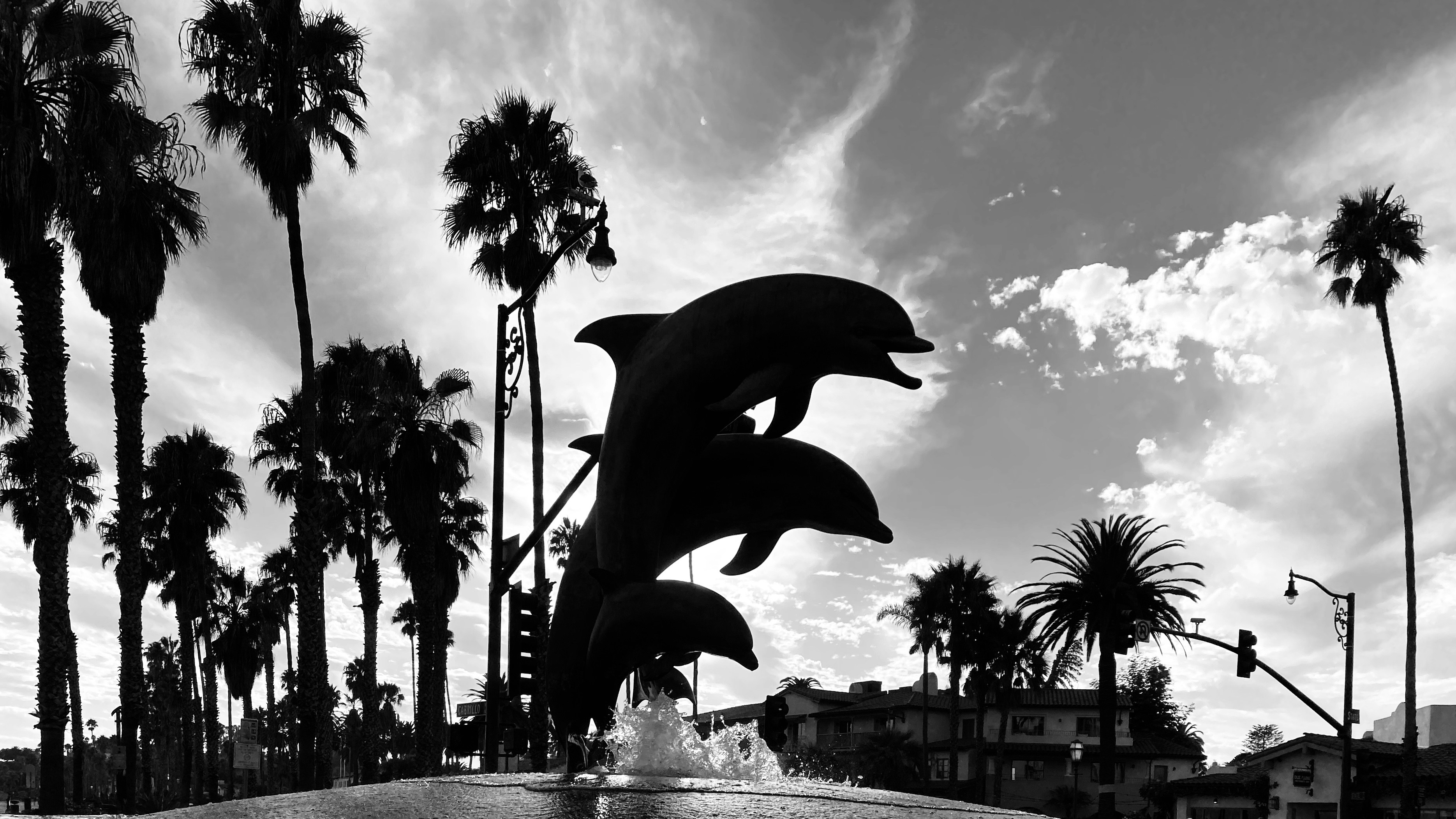 black and white bird painting