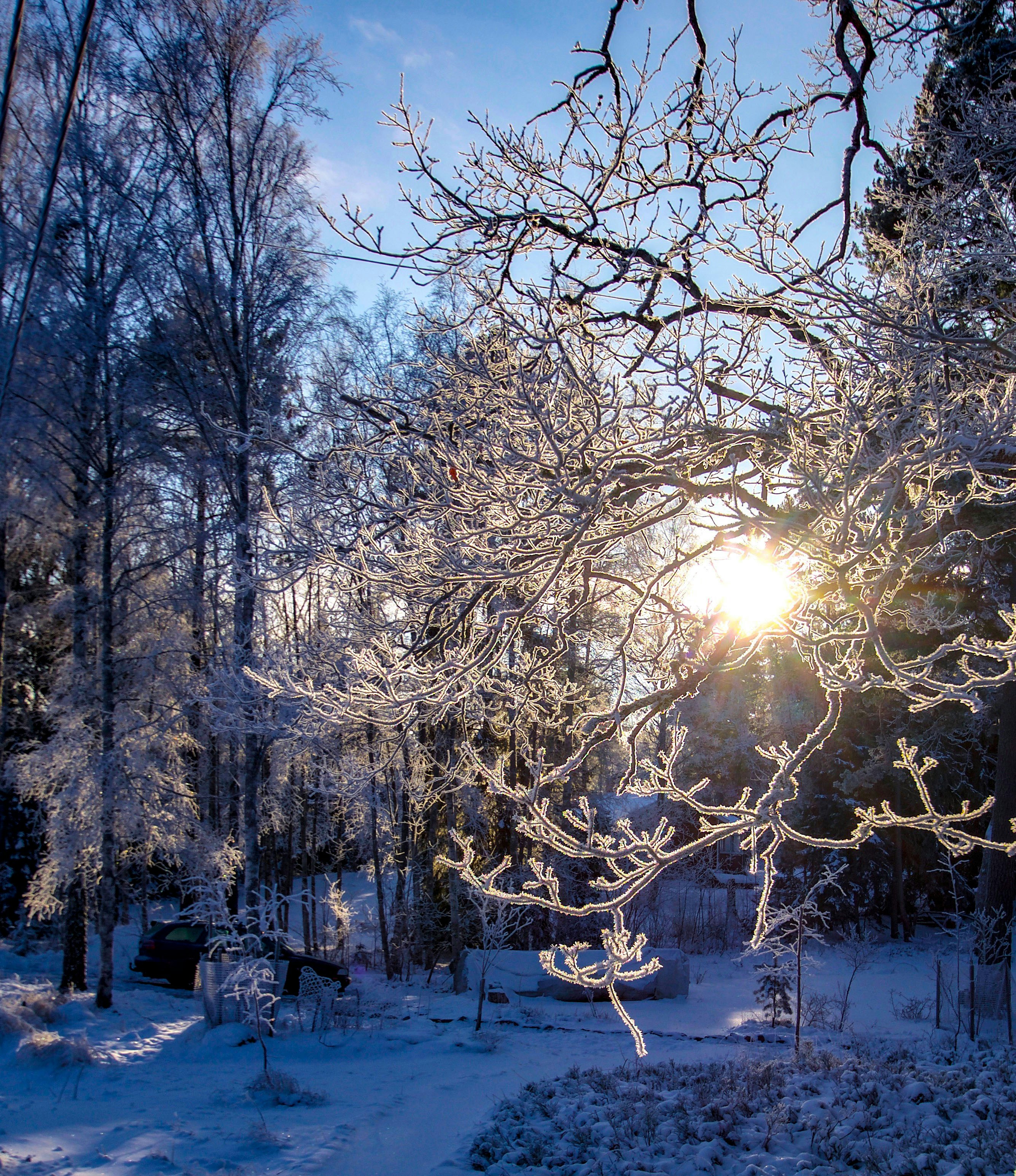 Photo by photosharing1000