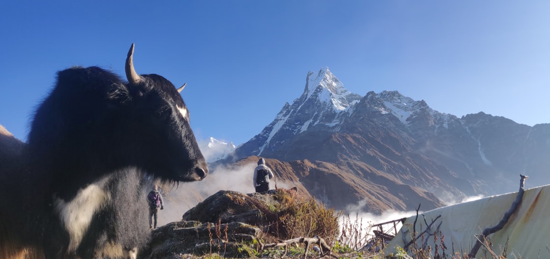 Mountain range photo spot Mardi Himal Base Camp Poon Hill