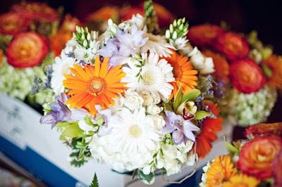 white and yellow petaled flowers centerpiece teams background