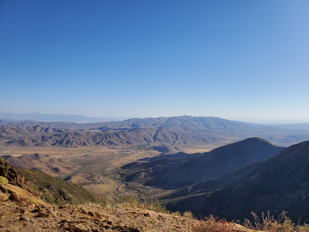 Montaña y árboles marrones y negros