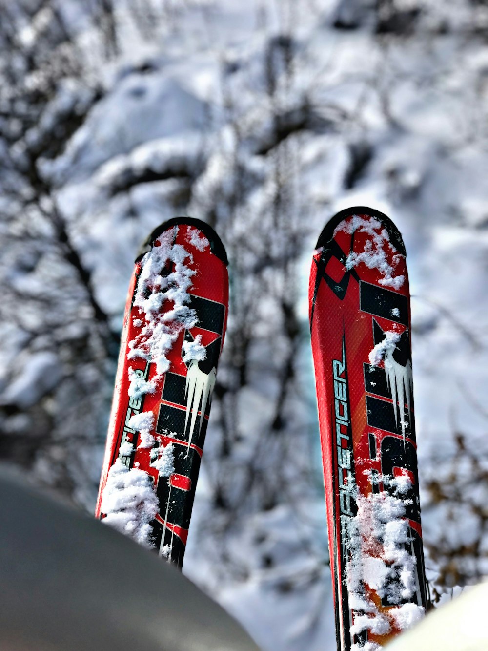 two pairs of snow ski boards