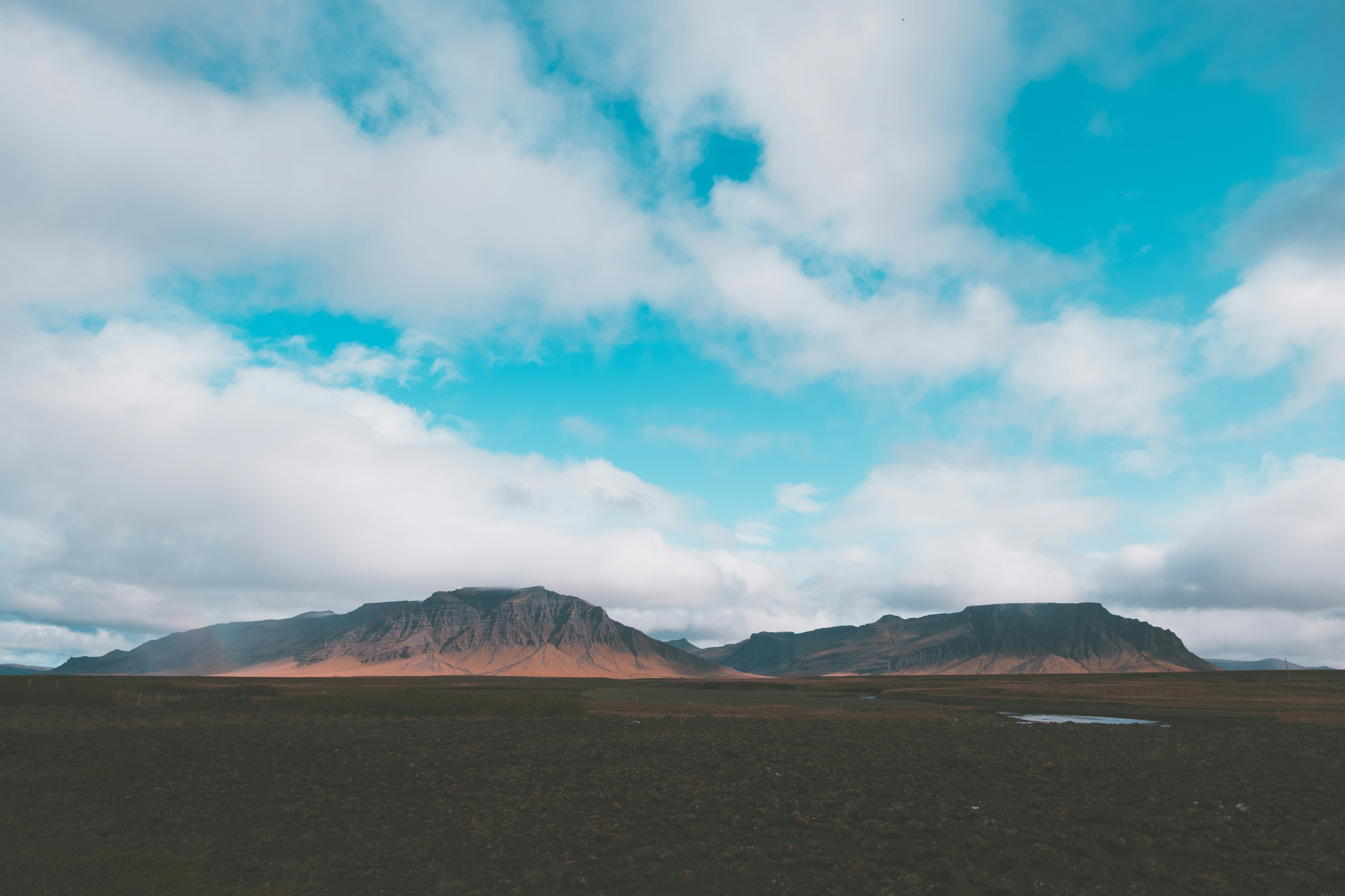 Photo by lanceanderson