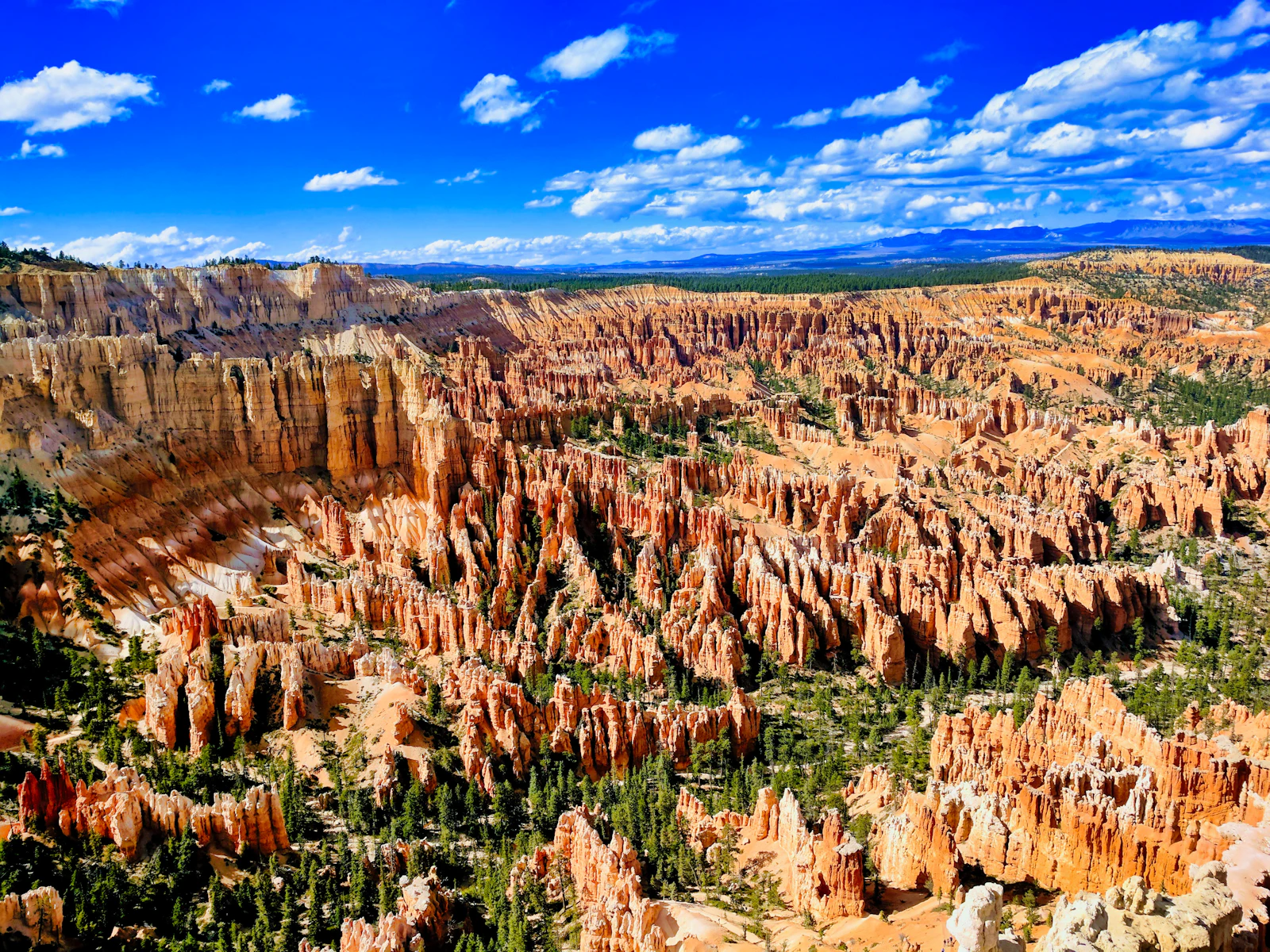 The orange hoodoos of the Bryce amphitheatre under a blue sky