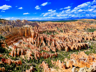 The orange hoodoos of the Bryce amphitheatre under a blue sky