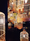 birdcages with lights