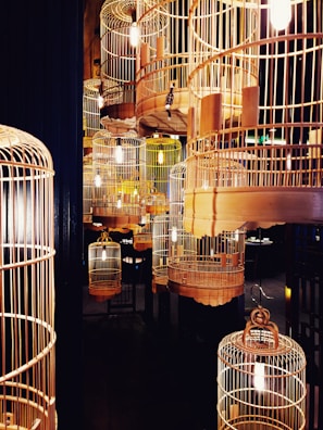 birdcages with lights