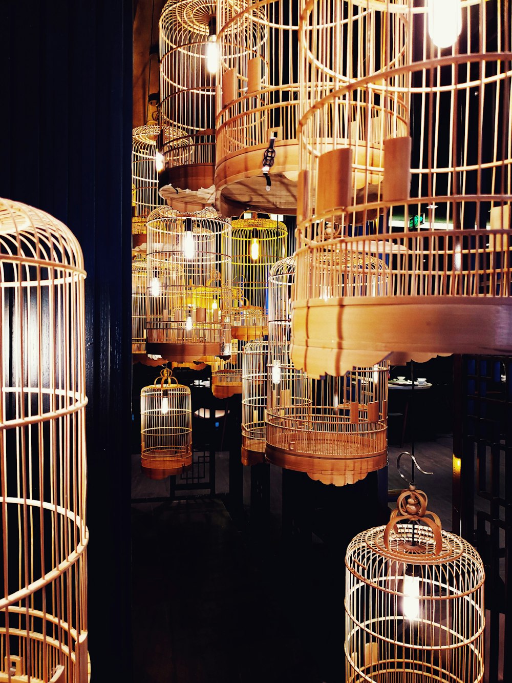 birdcages with lights