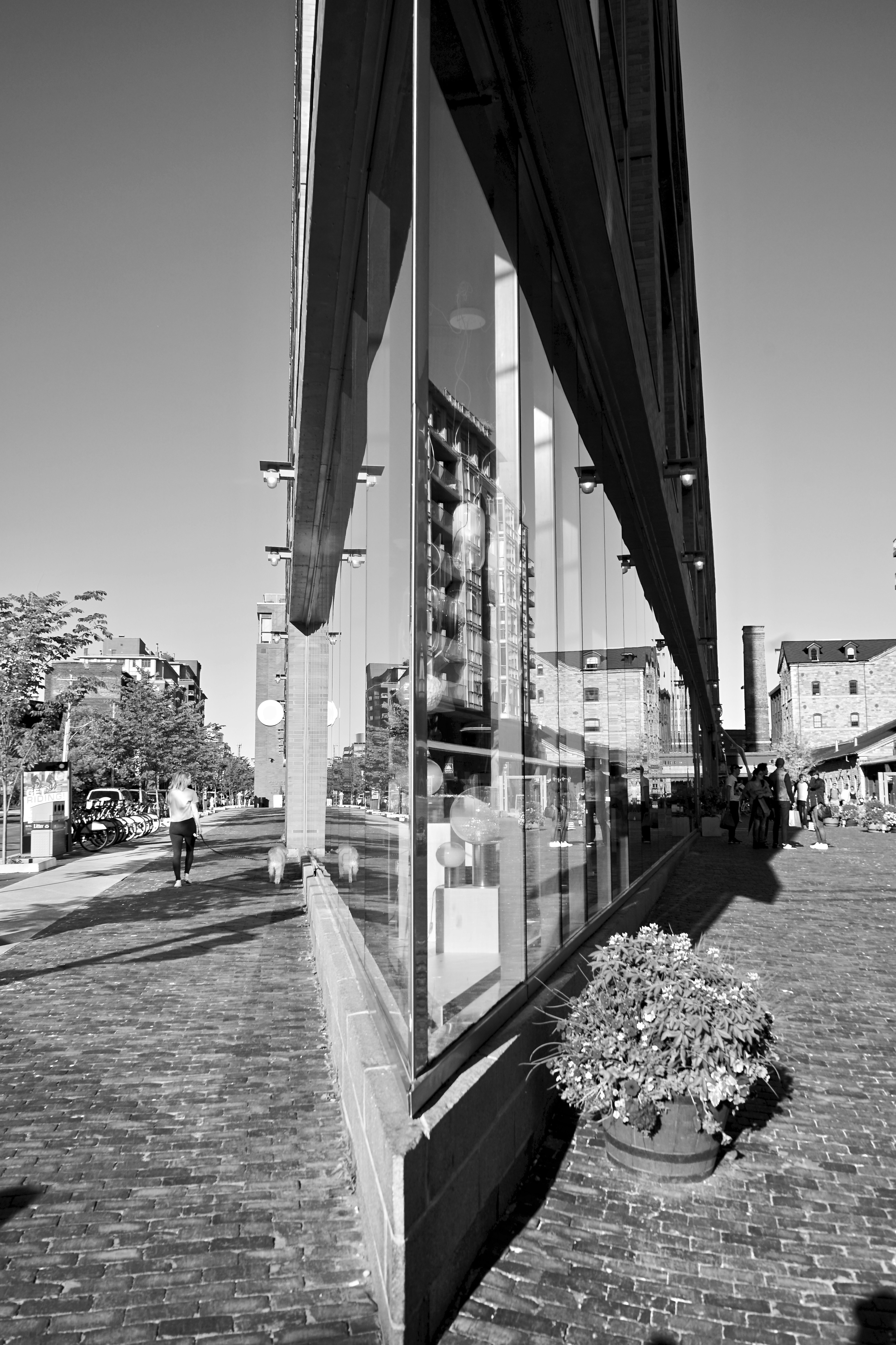 Photo by laura_moraes