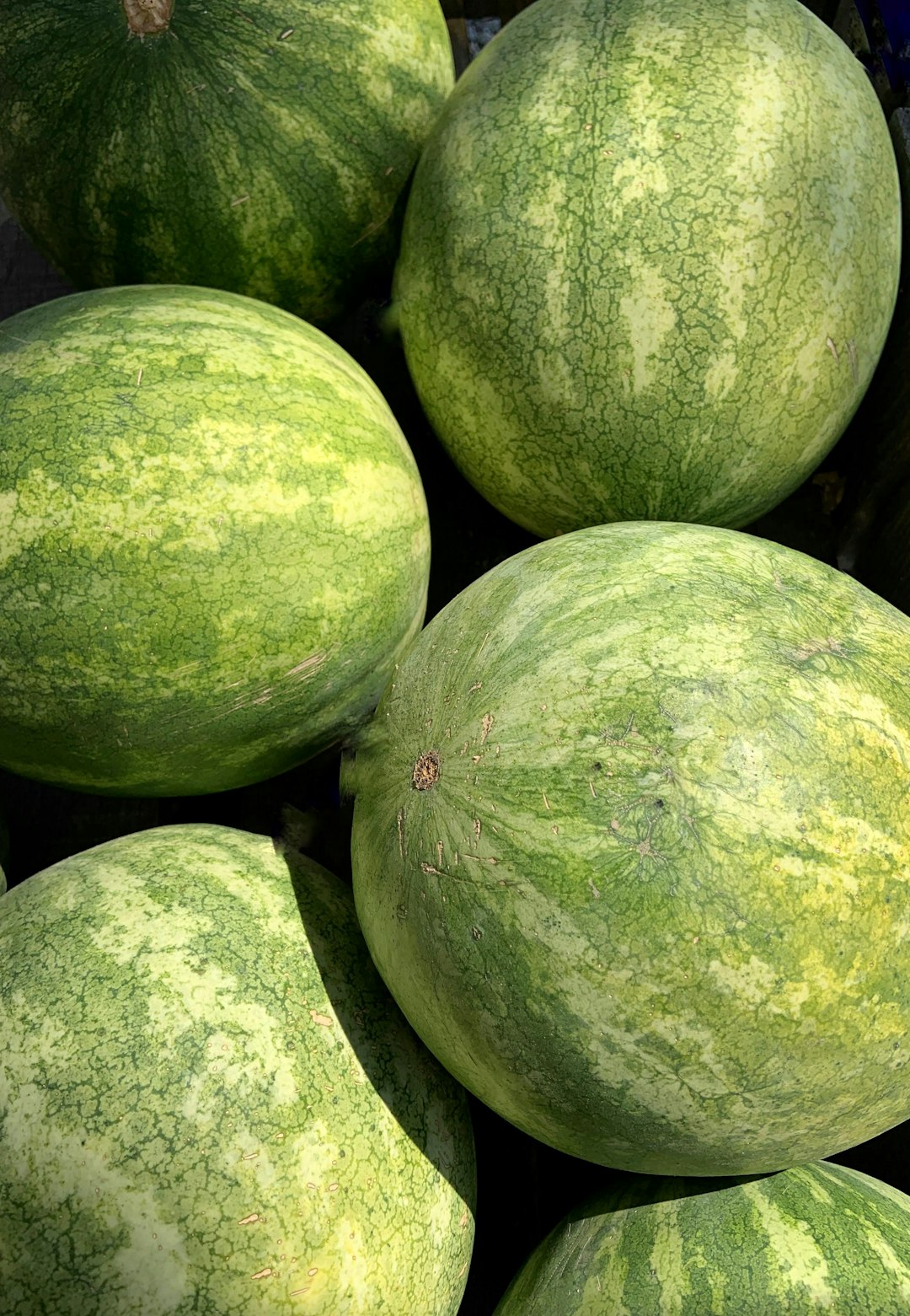 Définition de melon | Dictionnaire français