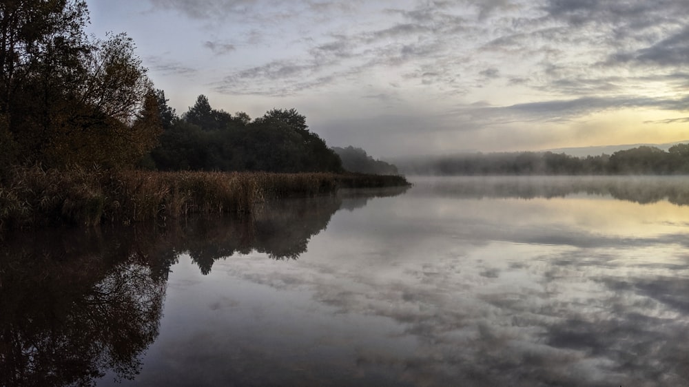 brown and white wooden body of water