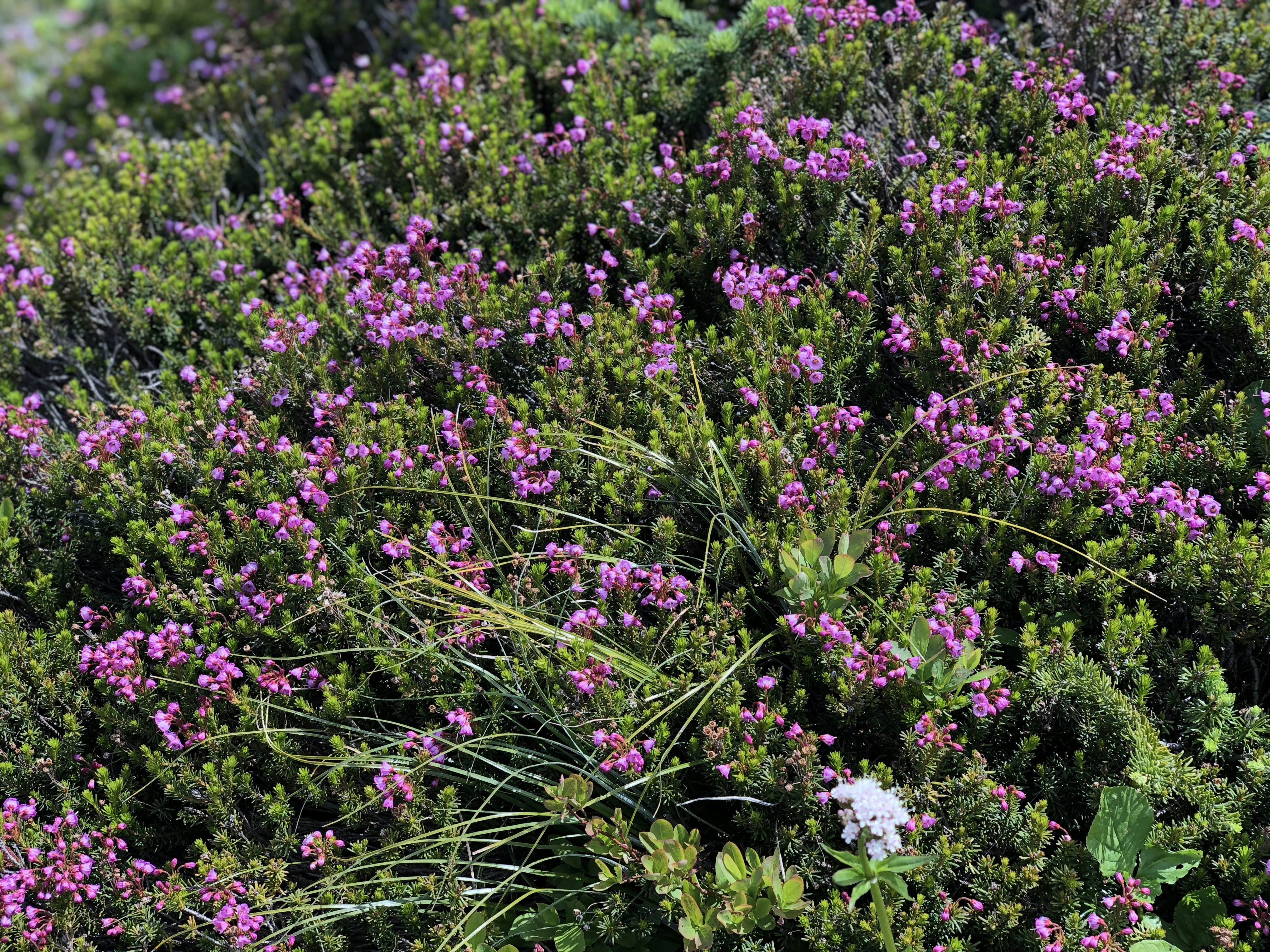 Photo by officialbryaan