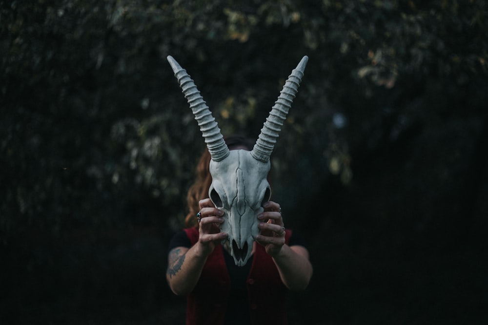 white and black deer head bust