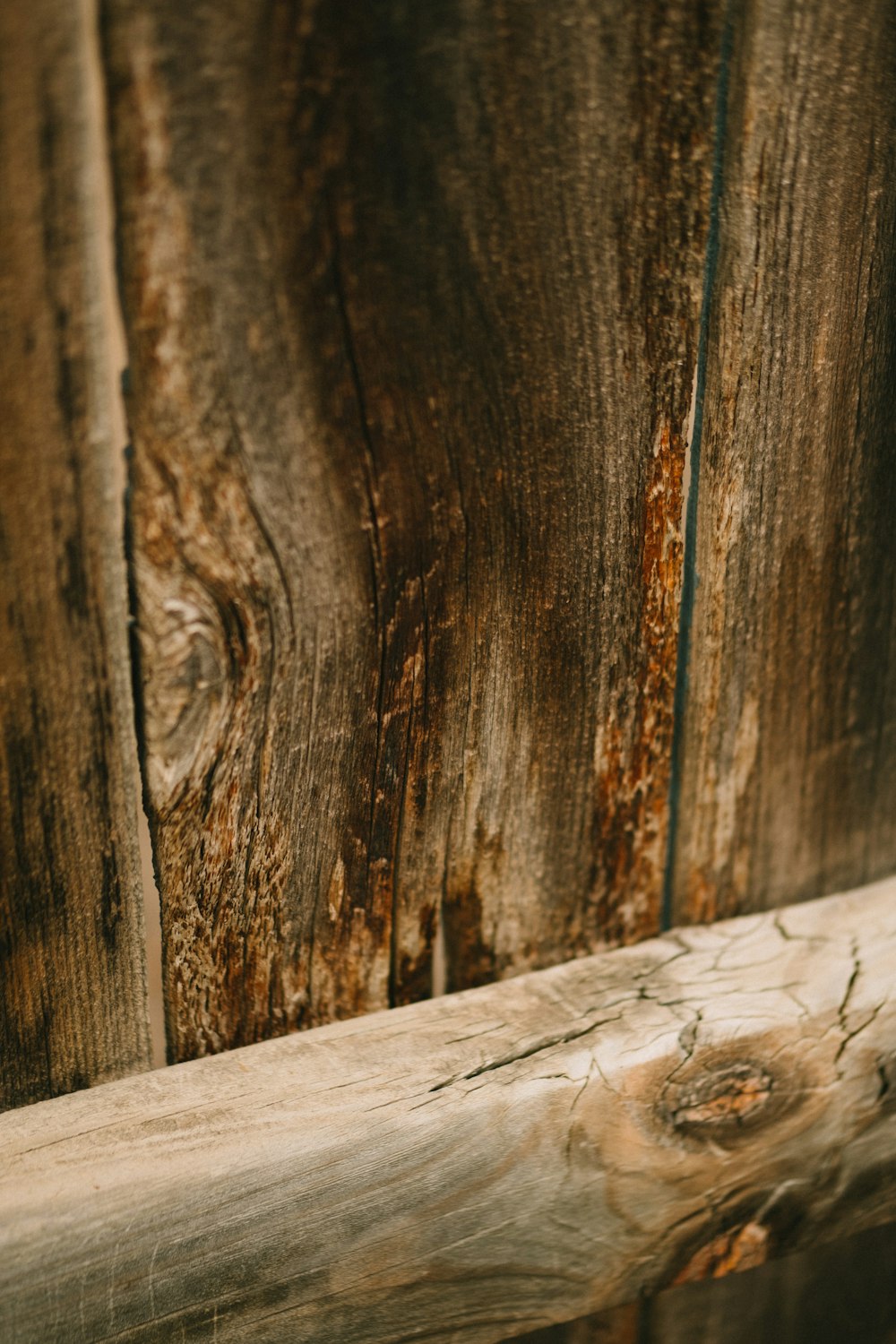 um close up de um pedaço de madeira em um banco