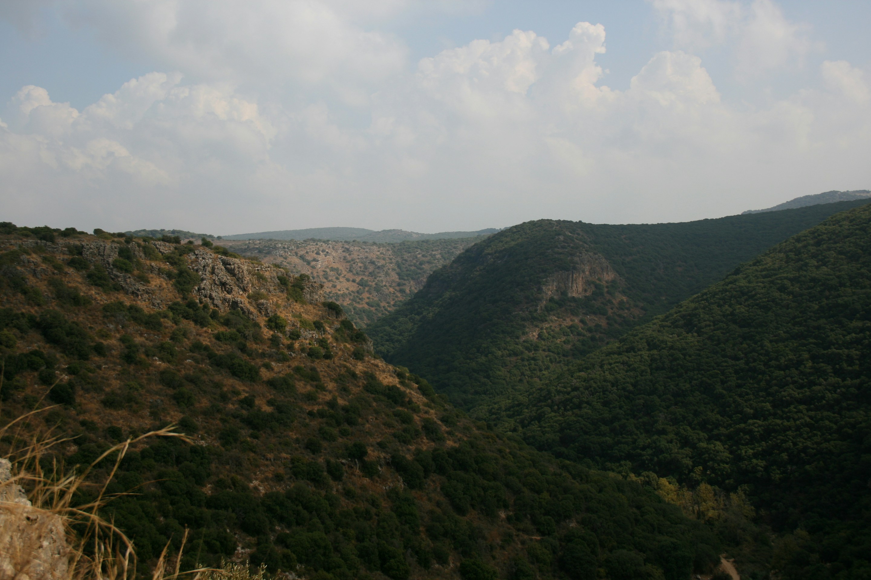 photo-1571344259598-f1a282e307c7?ixid=M3wxMjA3fDB8MXxzZWFyY2h8MTZ8fGRld2FkZXBvfGVufDB8fHx8MTc1NTUzMzgwN3ww\u0026ixlib=rb-4.1.0