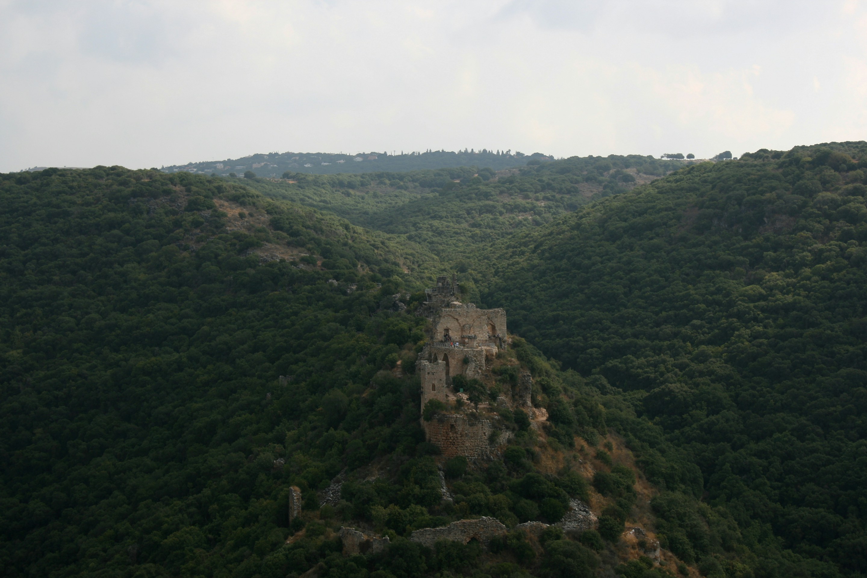 aerial view of trees during daytime