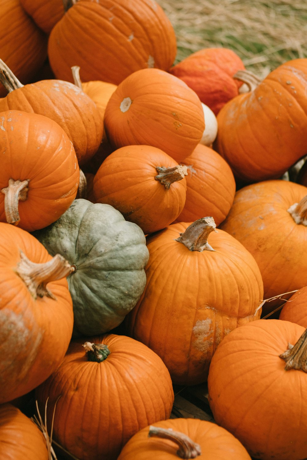 orange pumpkins