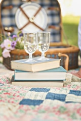 A picnic scene featuring a stack of books topped with two wine glasses, against a checkered picnic basket background. The setting includes a floral quilt and fresh flowers placed nearby.