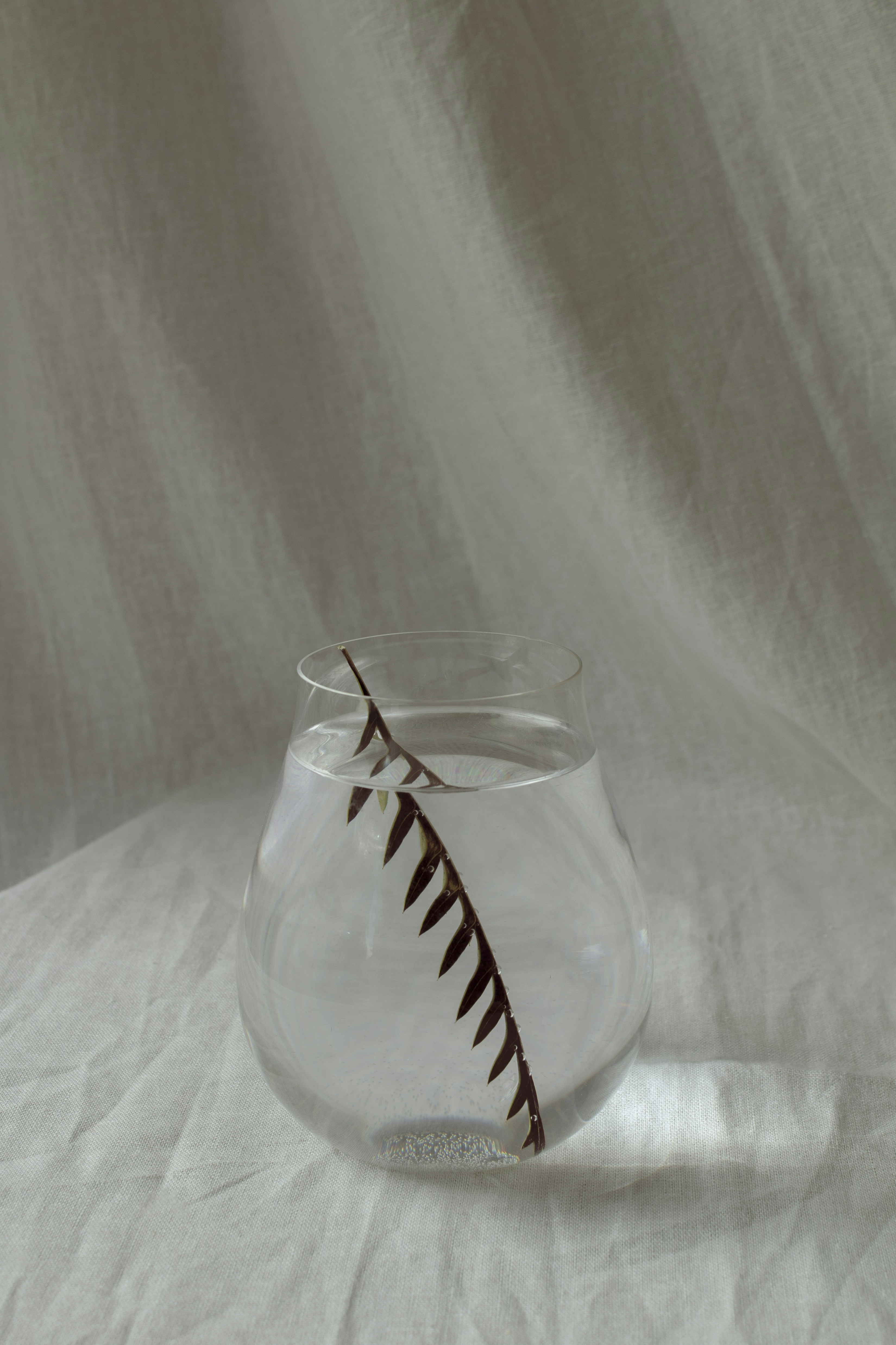 コップ1杯の水の写真 Unsplashで見つけるグレーの無料写真