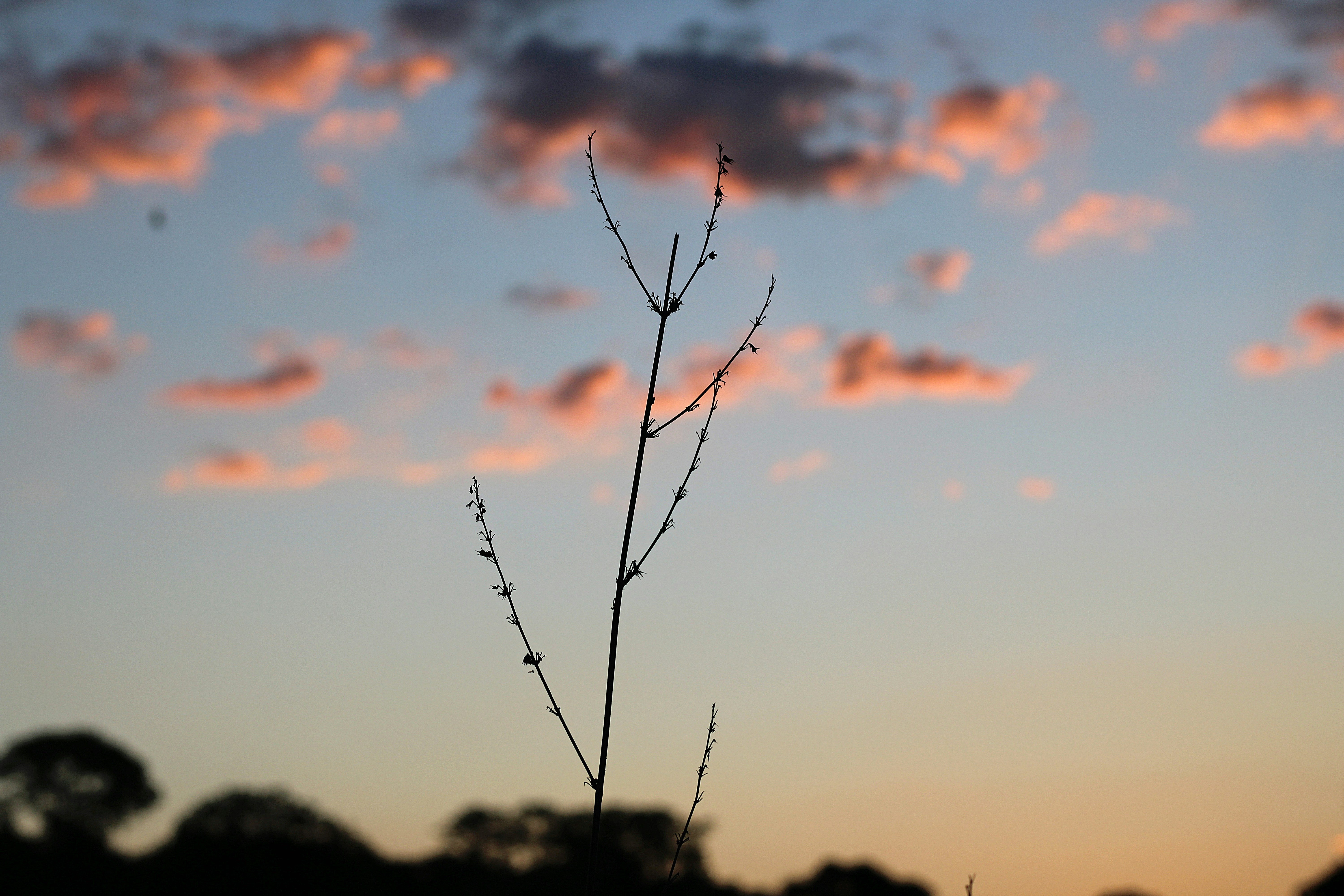 Photo by luizfelipebh