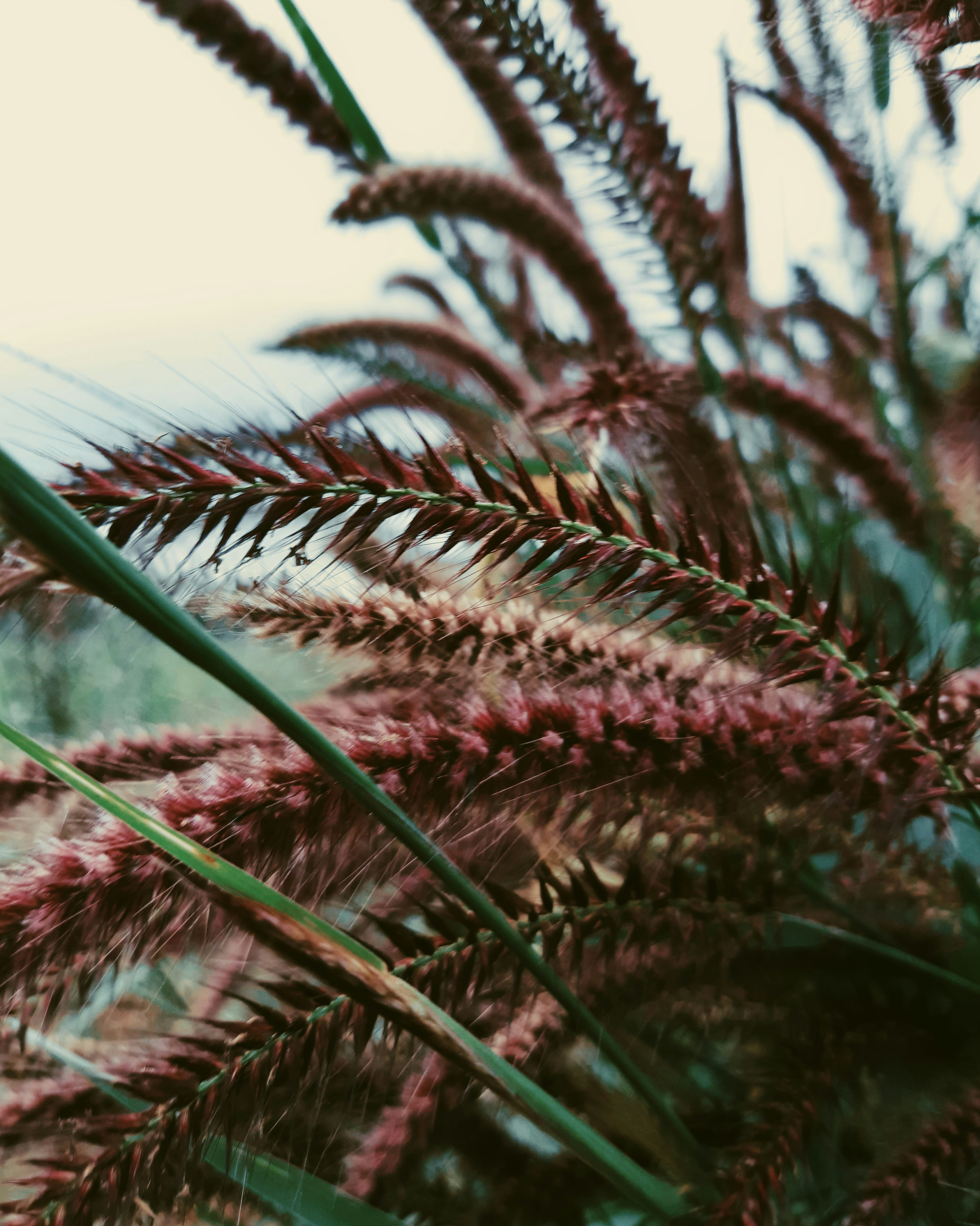 Photo by ayodejialabi