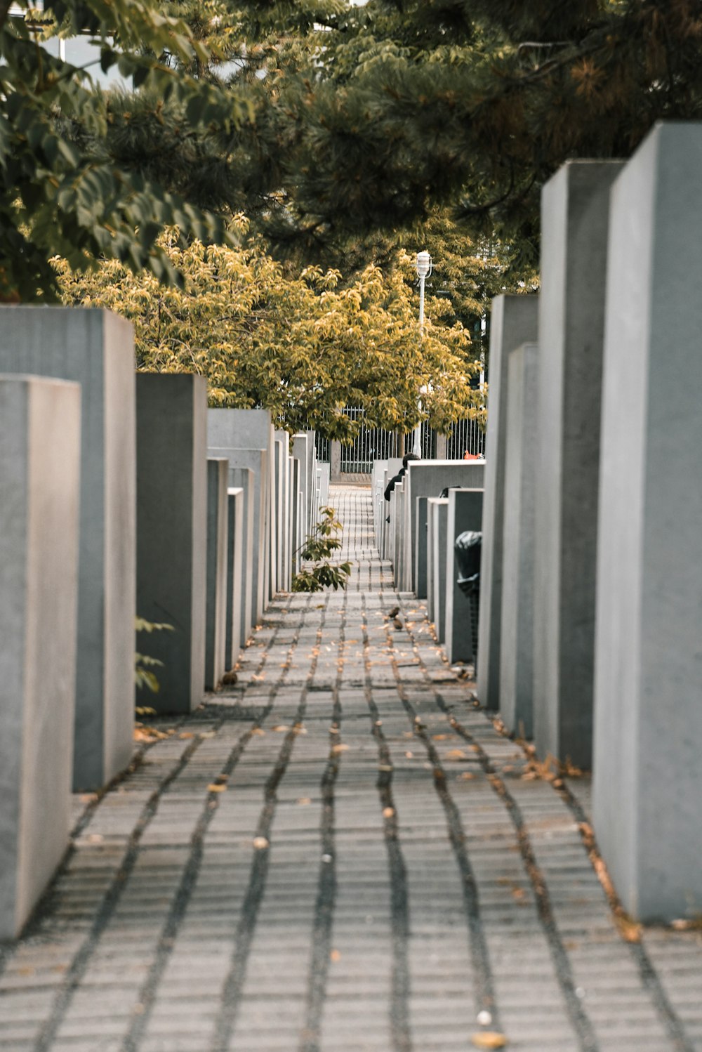 grey concrete pathway during daytime