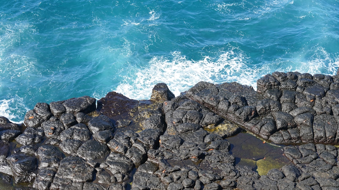 Travel Tips and Stories of Galapagos Islands in Ecuador