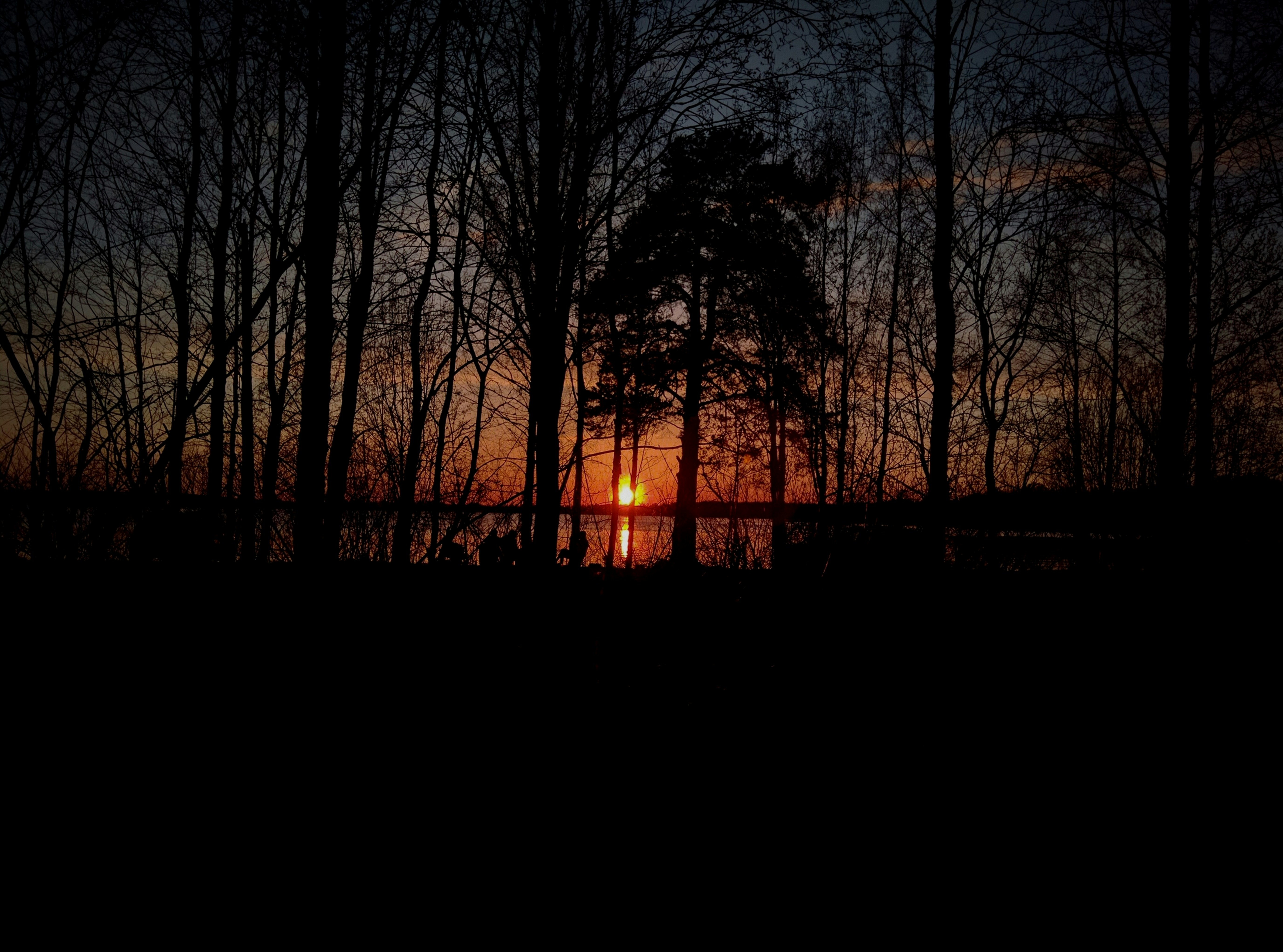 Photo by kerbus