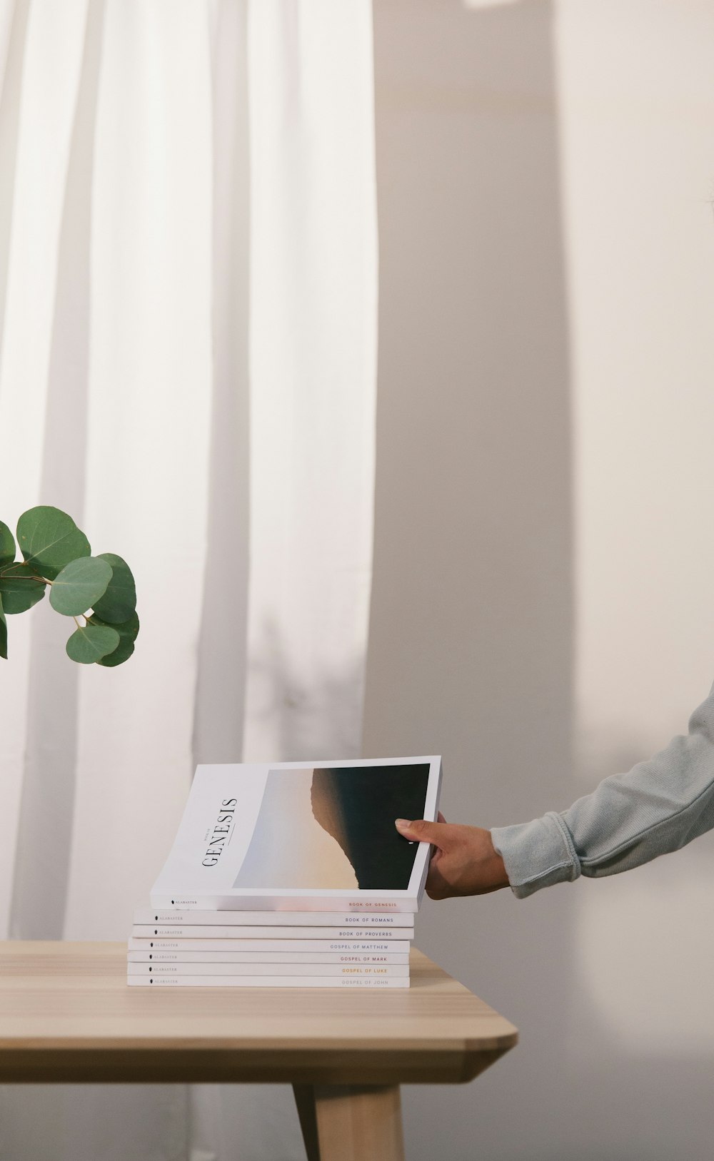 person holding book