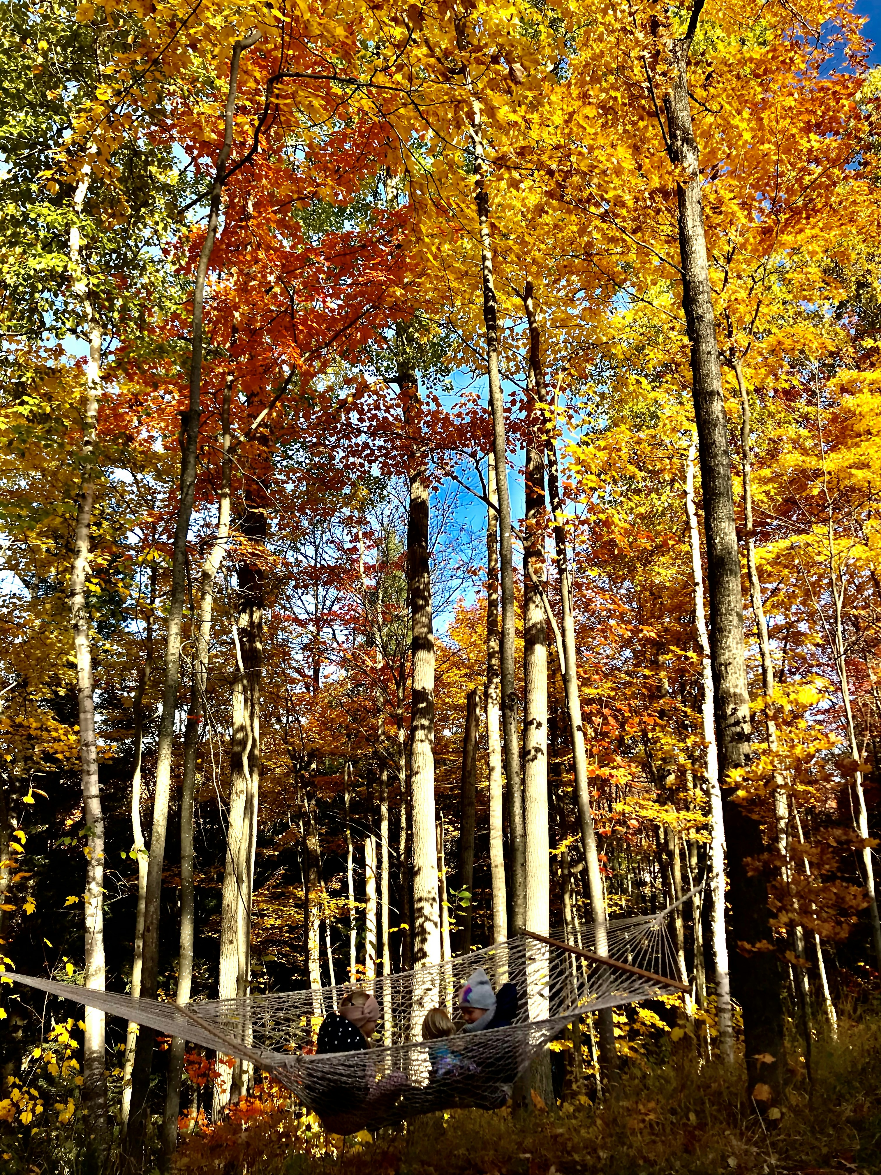 Photo by etiennestlouis