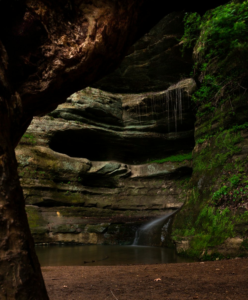 a waterfall in the middle of a forest