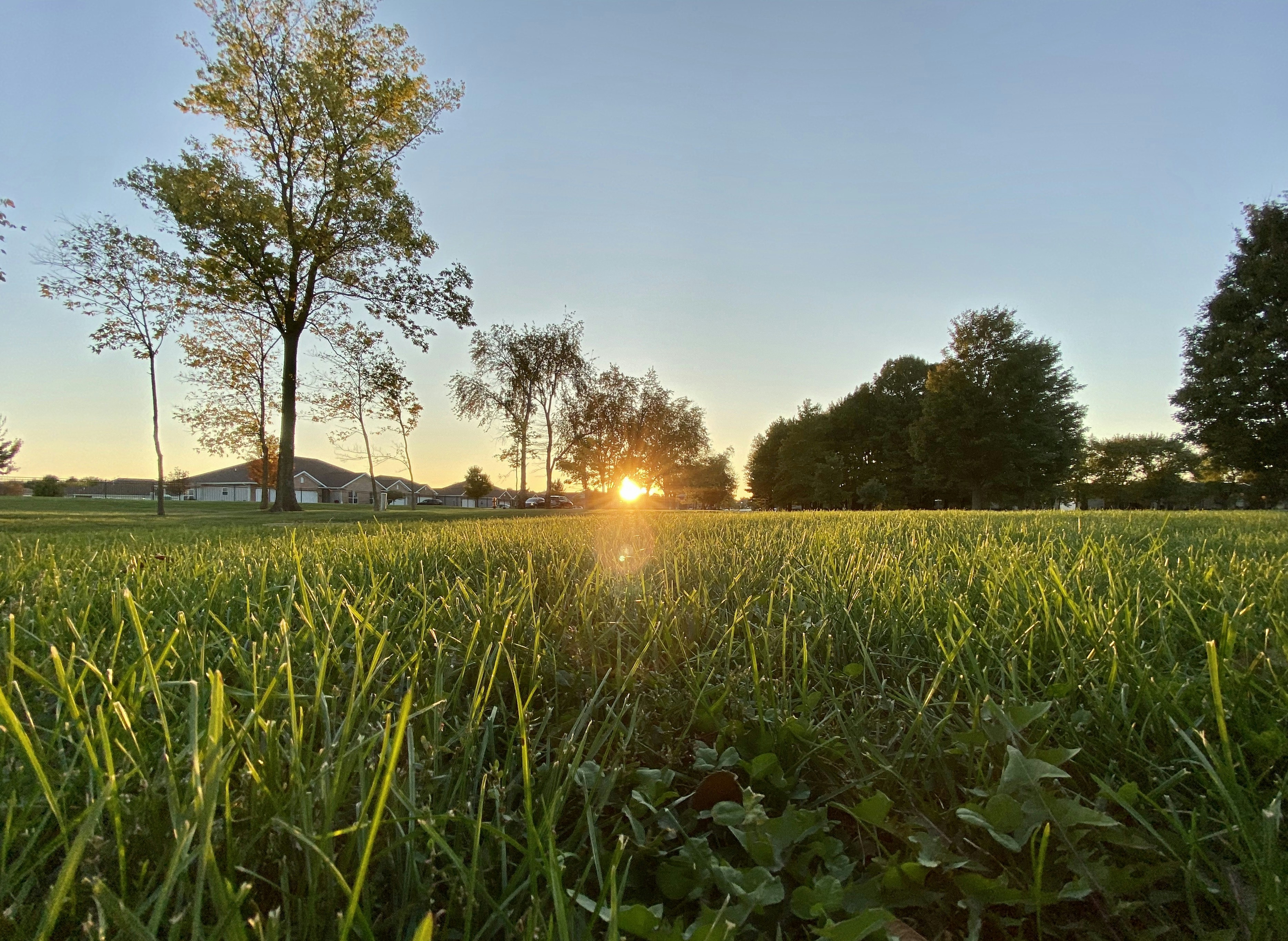 Photo by plzdontkick