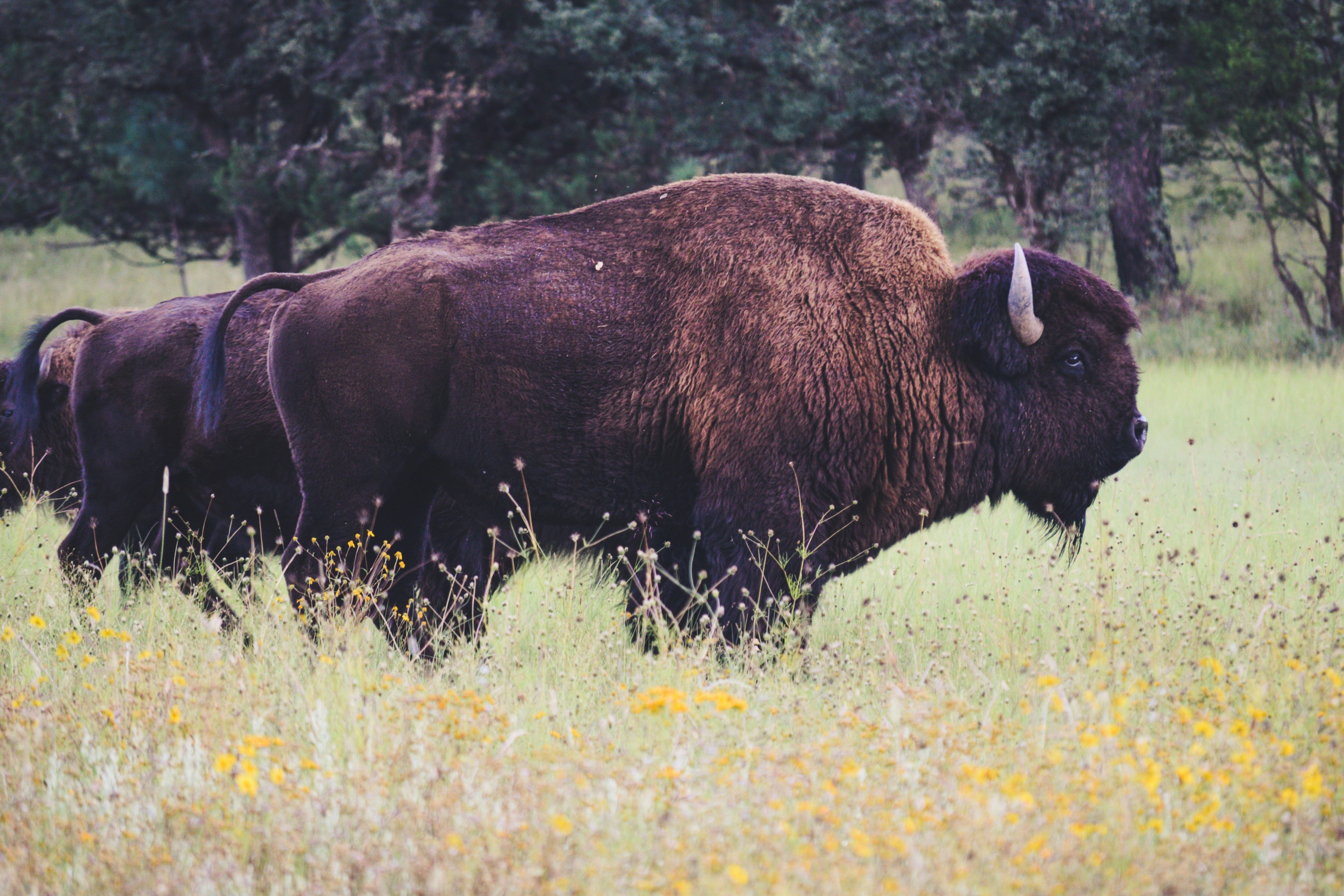 Photo by yaelgonzalez